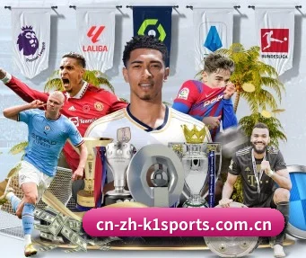 k1体育 APP - k1sports